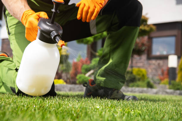 Professional Pest Control in Desert Palms, CA