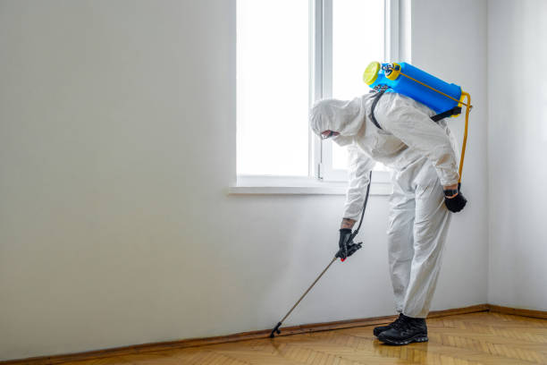 Pest Prevention Services in Desert Palms, CA