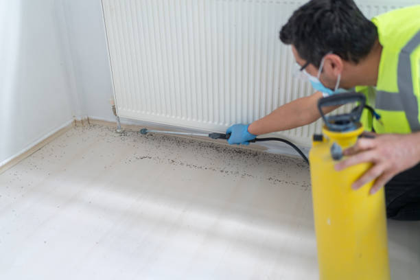 Best Pest Control Near Me  in Desert Palms, CA
